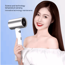 Ionic Hair Dryer - Lees Store
